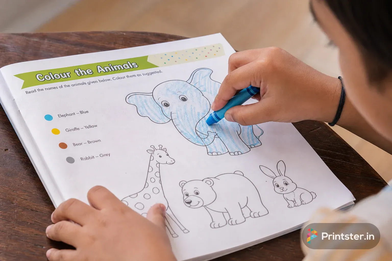 Activity Sheets gallery image 3